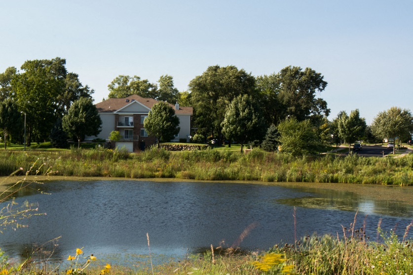 Gallery Photo 12